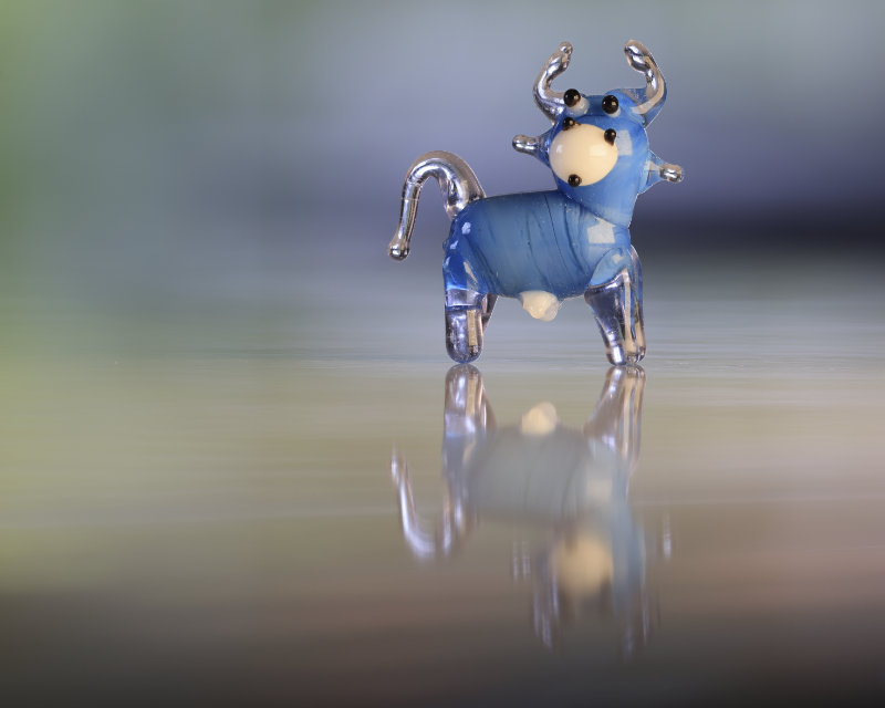 blaue Kuh aus Glas per Focusstacking aufgenommen