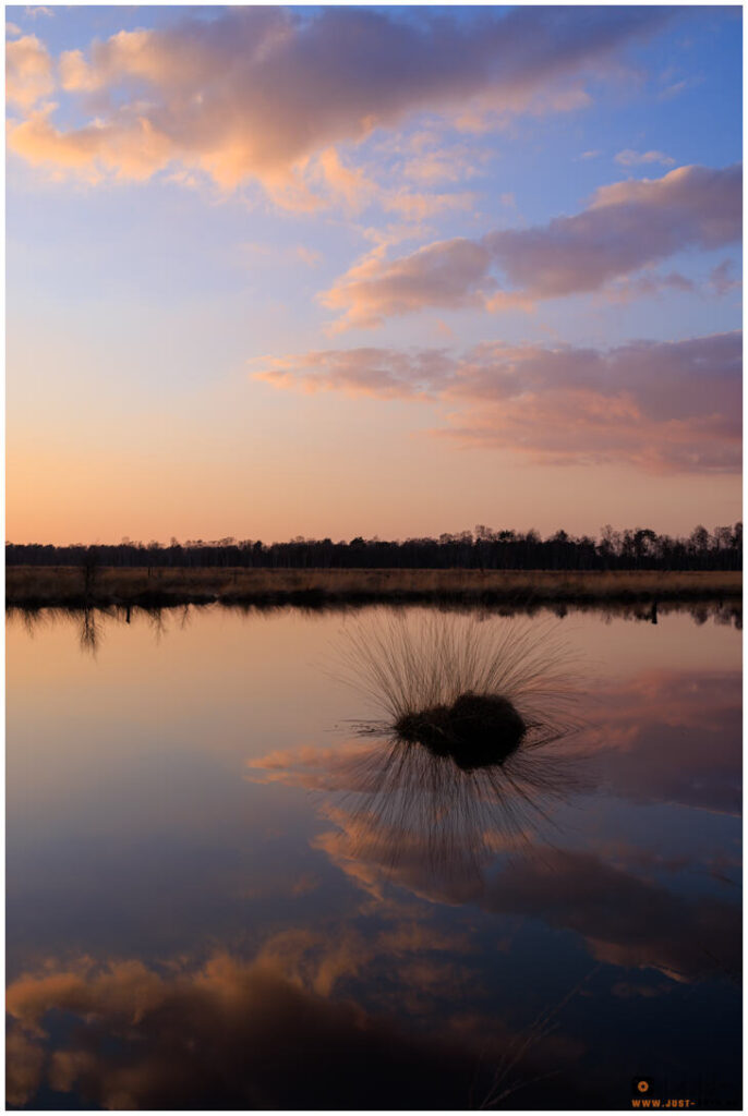 Pietzmoor bei Sonnenuntergang