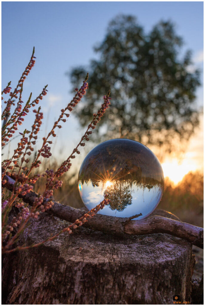 Sonnenaufgang durch die Glaskugel, Lüneburger Heide bei Schneeverdingen