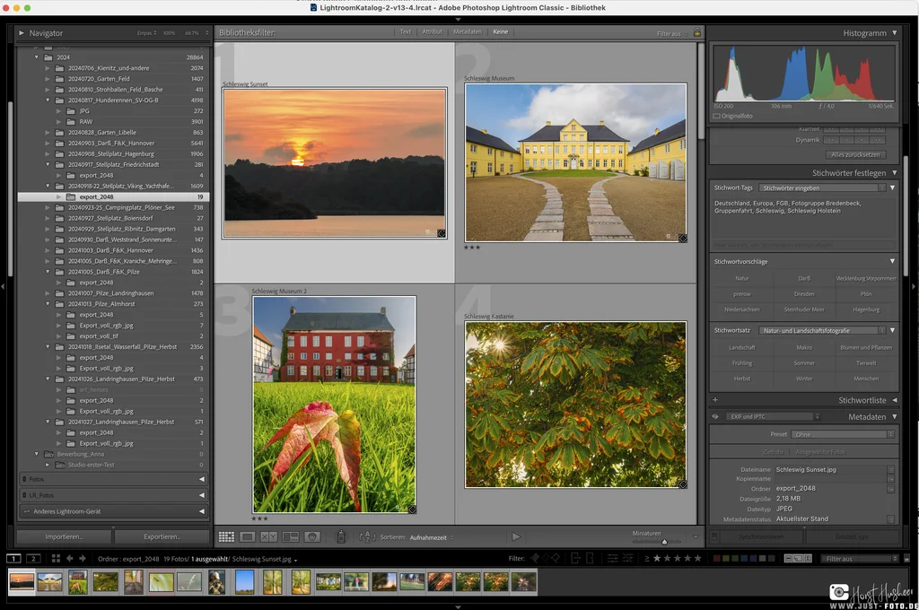 Adobe Lightroom Classic - Bildverwaltung und Bearbeitung 