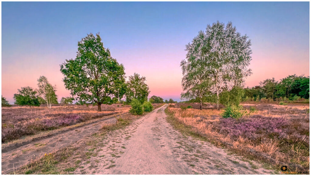 Sonnenaufgang in der Lüneburger Heide bei Schneeverdingen